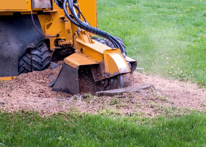Equipment used for stump grinding and tree root removal.